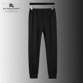 Picture of Burberry SweatSuits _SKUBurberryM-4XL25cn11227492